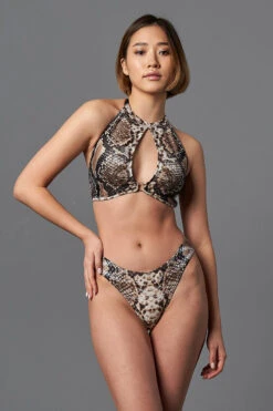 Shark Polewear Boston Shorts - Snake 12 Shark Polewear Boston Shorts - Snake -Rad Store 09.12.20 06730