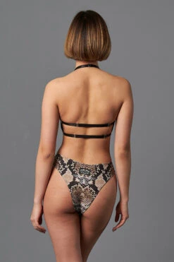 Shark Polewear Boston Shorts - Snake 13 Shark Polewear Boston Shorts - Snake -Rad Store 09.12.20 06735