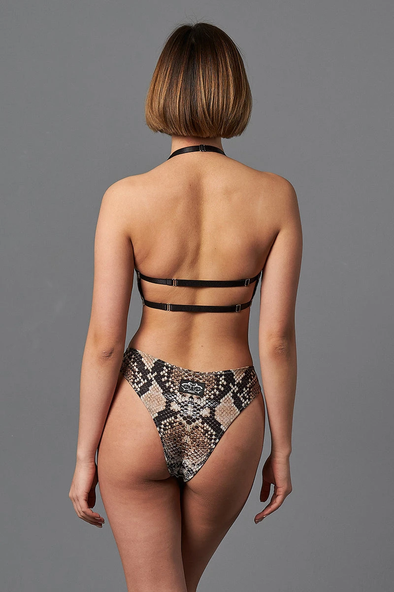 Shark Polewear Boston Shorts - Snake 6 Shark Polewear Boston Shorts - Snake - Image 4