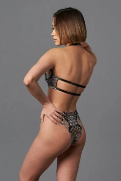 Shark Polewear Boston Shorts - Snake 17 Shark Polewear Boston Shorts - Snake -Rad Store 09.12.20 06737