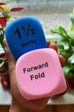 The Enviro Co. Pole Dice - Flexibility -Rad Store IMG 1878