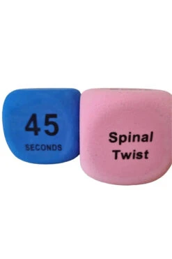 The Enviro Co. Pole Dice - Flexibility -Rad Store Untitleddesign 2022 05 11T135430 798 1024x1024 2x png