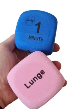 The Enviro Co. Pole Dice - Flexibility -Rad Store Untitleddesign 2022 05 11T135555 403 1024x1024 2x png