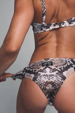 Shark Polewear Boston Shorts - Snake 14 Shark Polewear Boston Shorts - Snake -Rad Store bostonsnake5