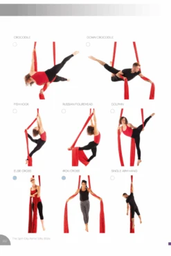 Spin City The Ultimate Silks Bible 14 Spin City The Ultimate Silks Bible -Rad Store slice7