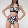 Pole Addict High Waisted Shorts - Zebra -Rad Store zebra2
